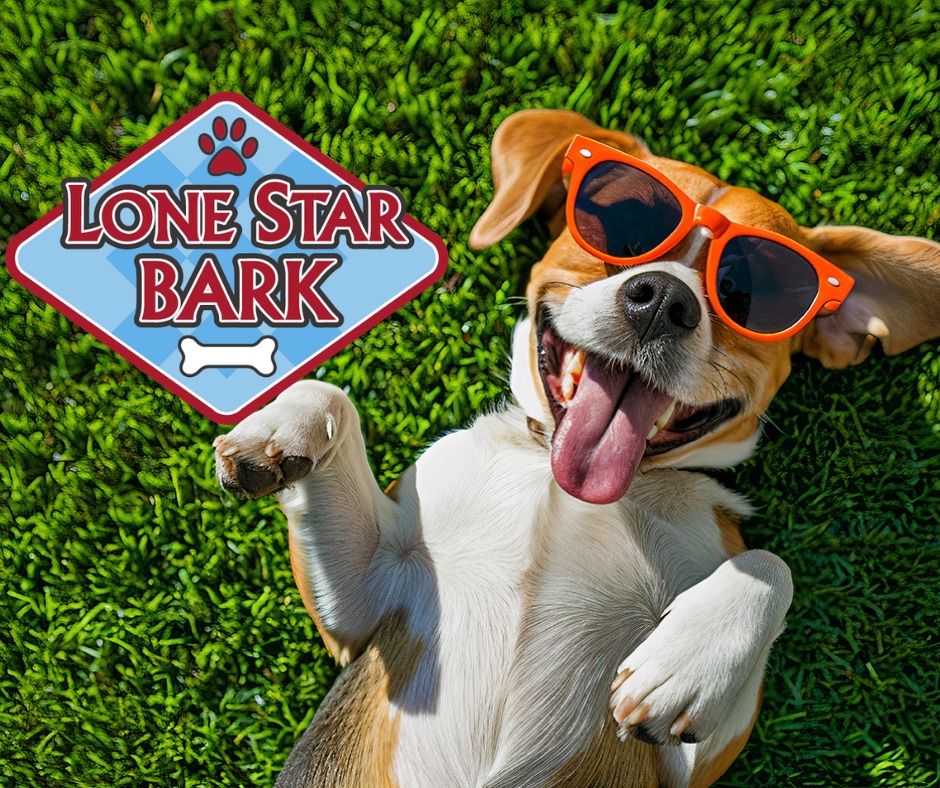 Lone Star Bark: The Ultimate Doggie Carnival
