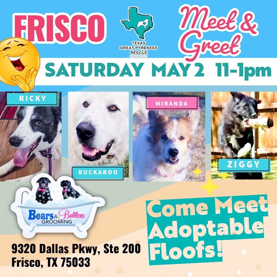 TGPR Frisco Meet&Greet at Bears and Bellas