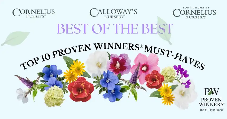 Best of the Best Top 10 Proven Winners® Must-Haves