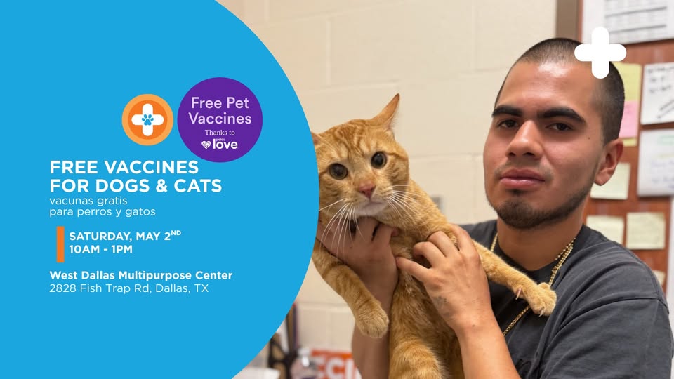 Free FVRCP and Parvo/Distemper Clinic