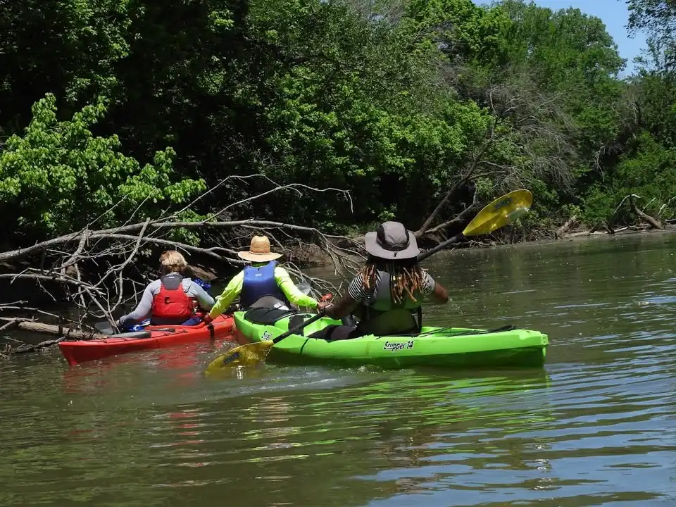 Wildlife /Twilight Paddle | 2 Mile