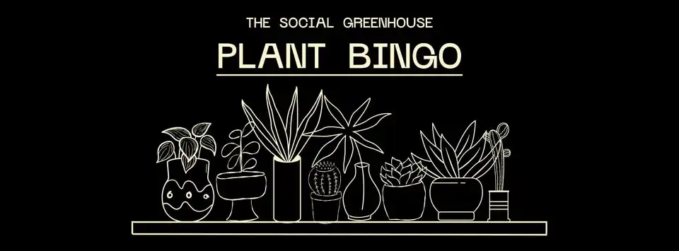 Plant Bingo at Downtown Mesquite Market