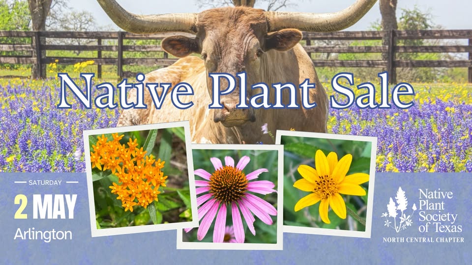 Spring Native Plant Sale