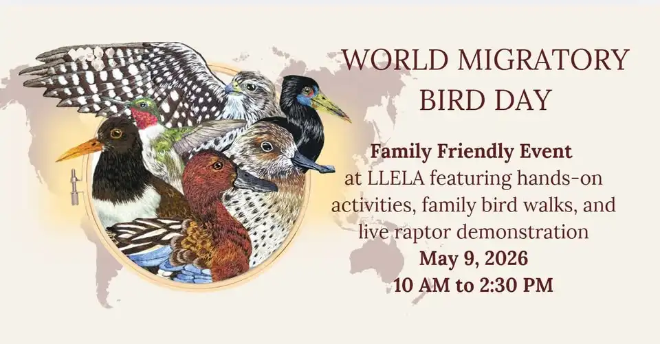 World Migratory Bird Day
