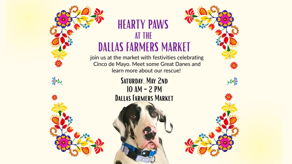 Hearty Paws at the Dallas Farmers Market - Cinco de Mayo