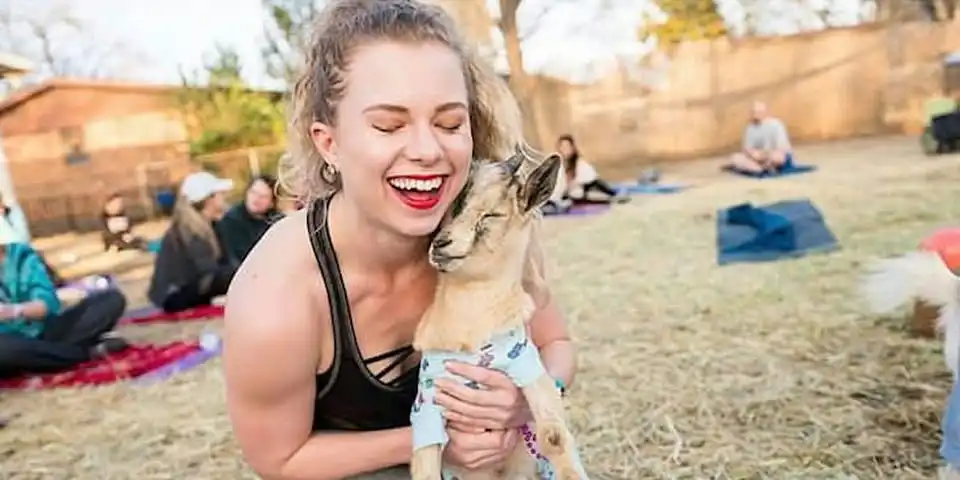 Halloween Goat Yoga - Bedford Public Library!