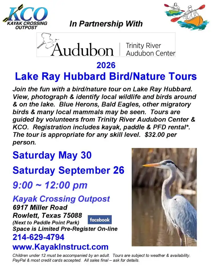 Lake Ray Hubbard Bird/Nature Tours