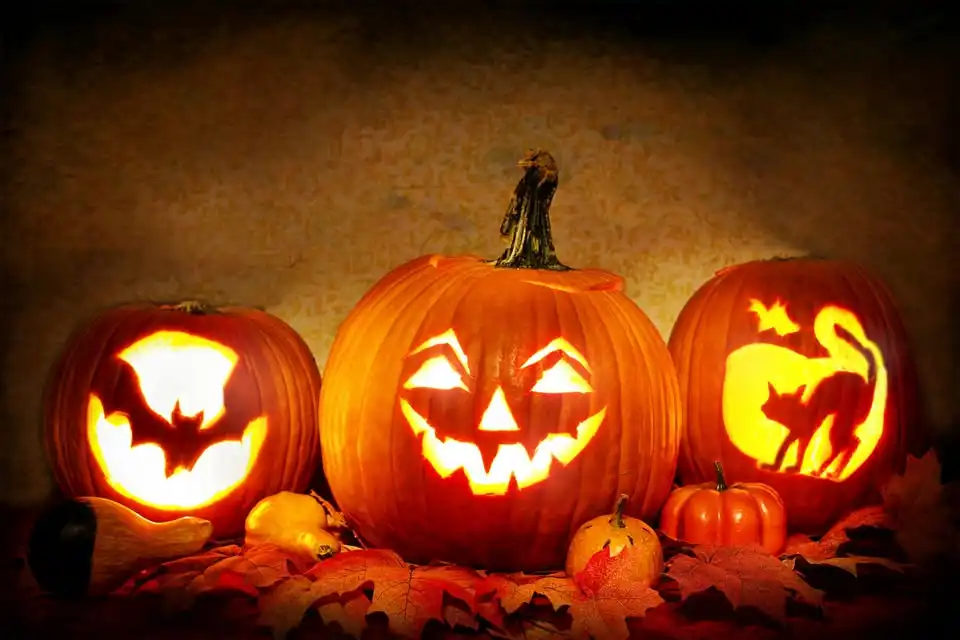 Fall Fun Festival