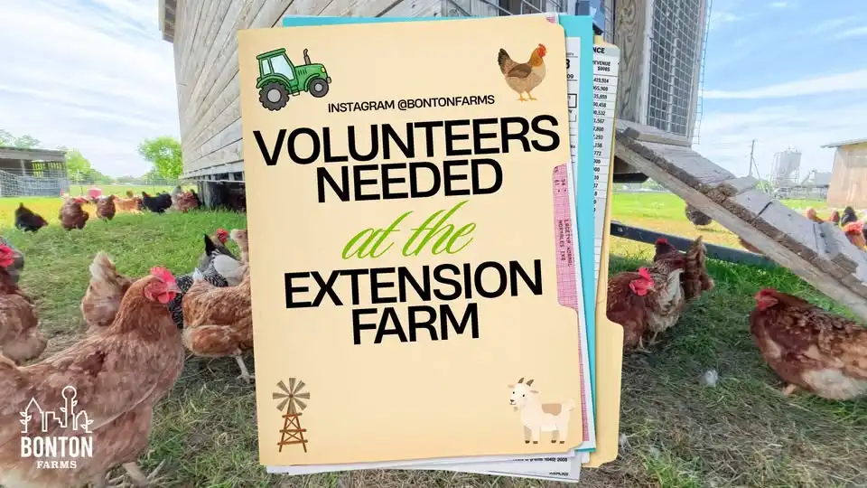 Volunteers Needed: Weekday Work at the Extension Farm