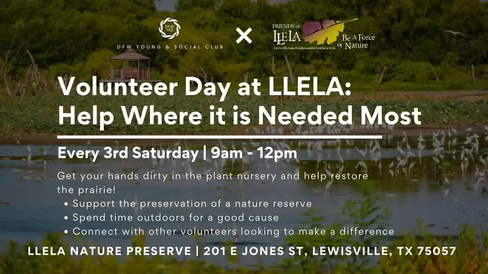 Volunteering at LLELA: Help Where It’s Needed Most