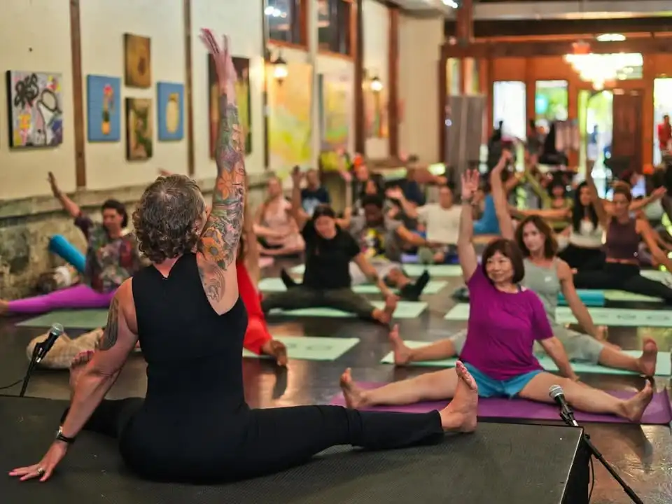 Wellness & Harmony Festival