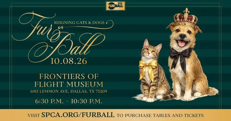Fur Ball