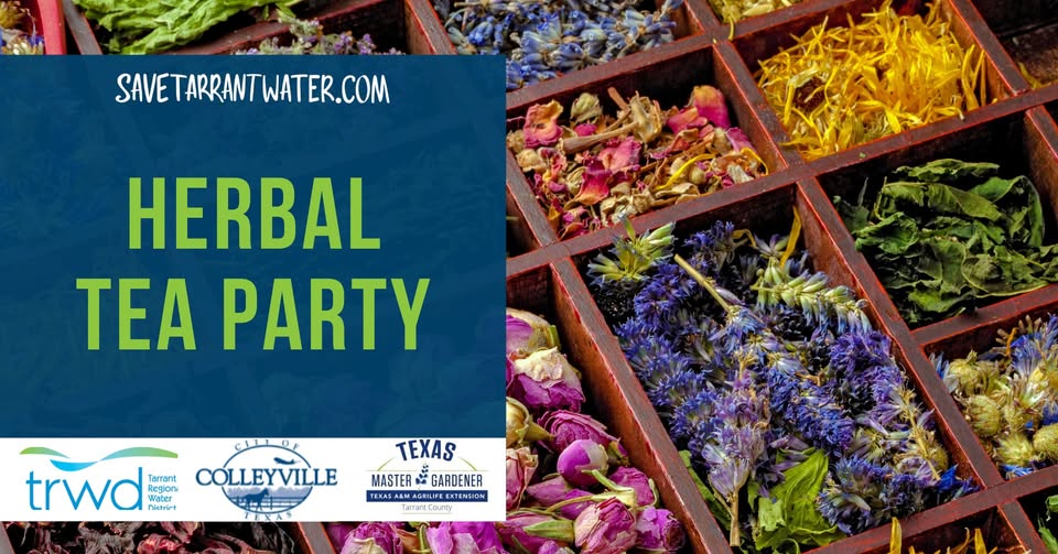 Herbal Tea Party