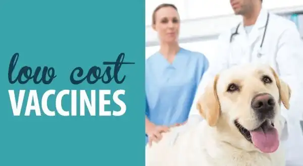 Low Cost Pet Vaccination Clinic