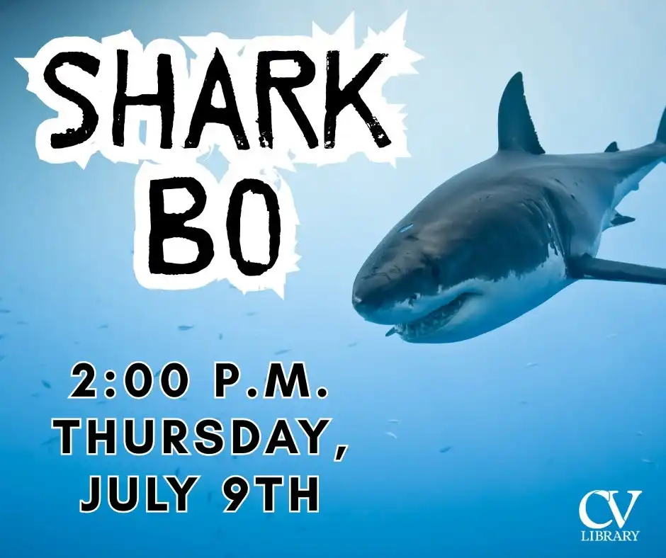 Shark Bo: Sharks!