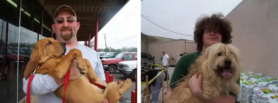 Low Cost Cat & Dog Vaccinations in Haltom City
