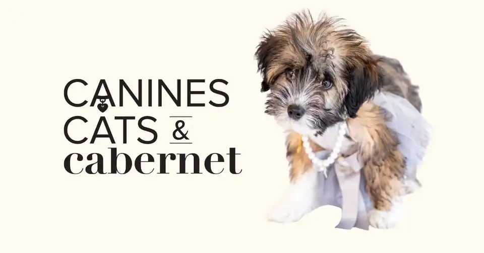 Canines, Cats & Cabernet