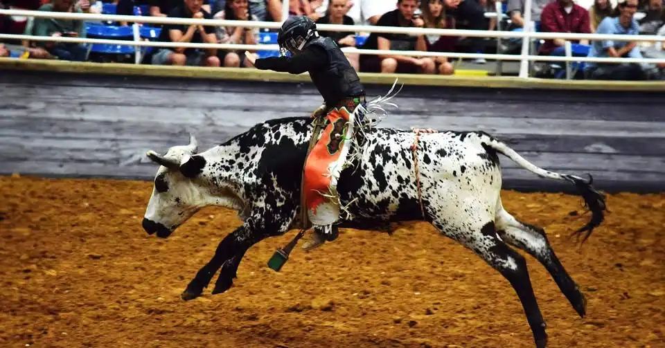 Mesquite Championship Rodeo