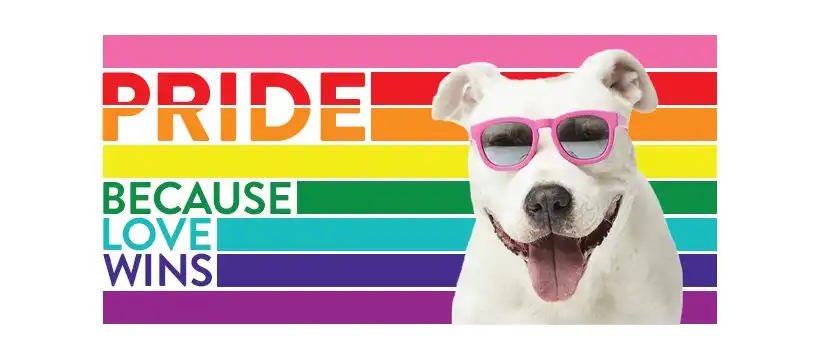 Dallas Pride Festival