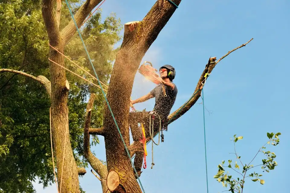 Irving Arborist Seminar