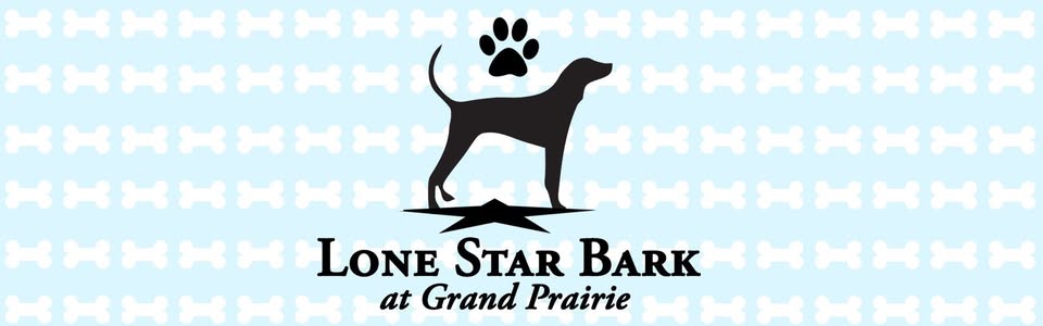 Lone Star Bark