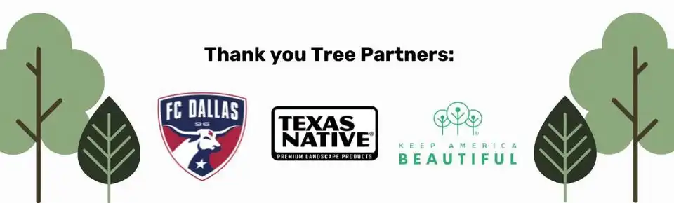 Tree Giveaway