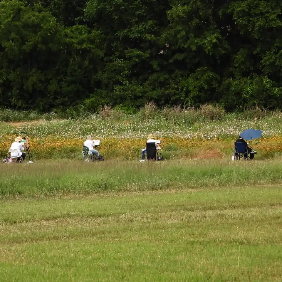 Artists in the Meadow 2026