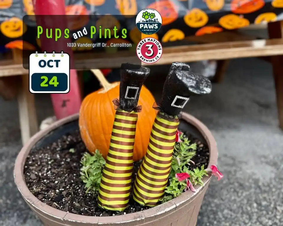 Pups & Pints