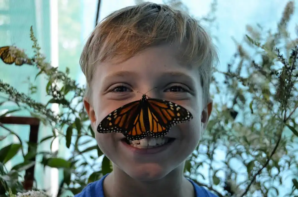 2026 Kiwanis Butterfly Festival