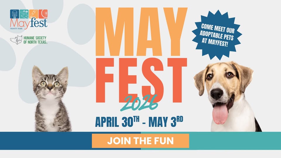 Mayfest at Trinity Park in Fort Worth + HSNT Adoption Event