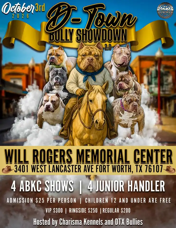 D-Town Bully Showdown 2.0