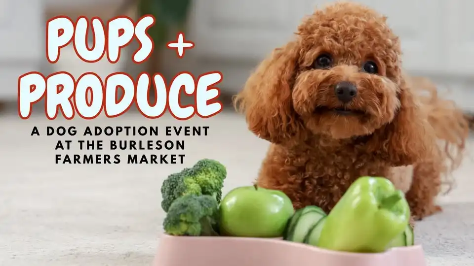 Pups + Produce: Dog Adoption Event