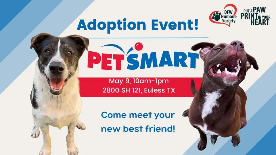 #EmptytheShelters PetSmart Euless Adoption Event