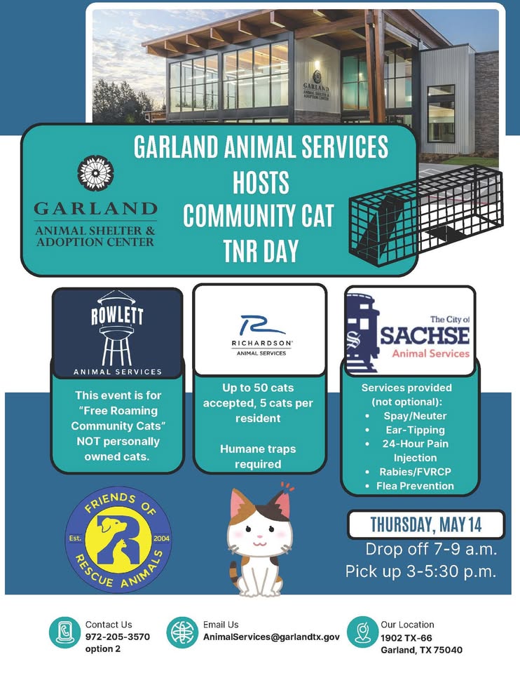FREE Community Cat Spay/Neuter Day