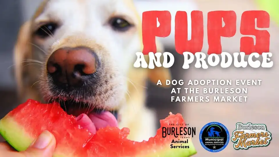 Pups + Produce: Dog Adoption Event JUNE