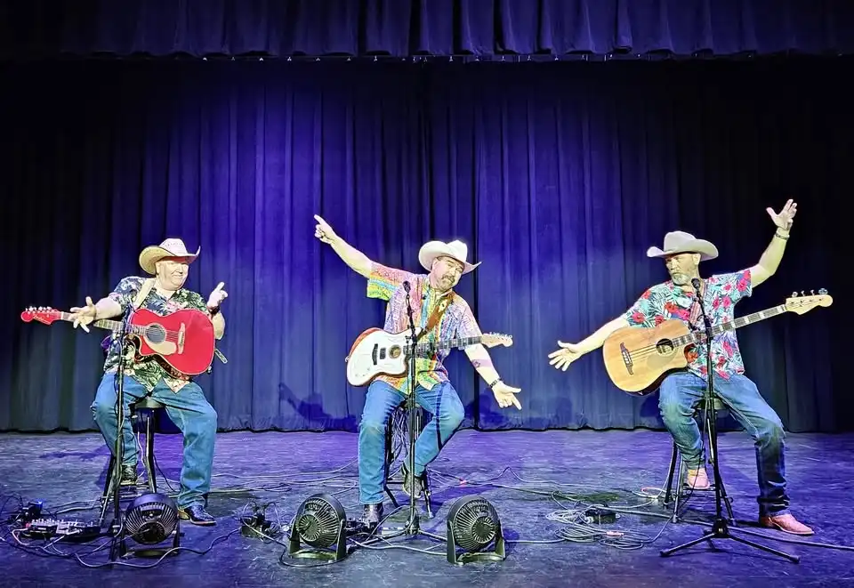 3 Fools on 3 Stools - Country