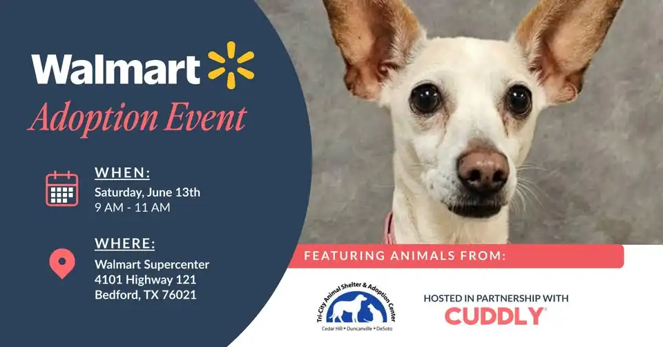 CUDDLY X Tri-City Animal Shelter Adoption Event