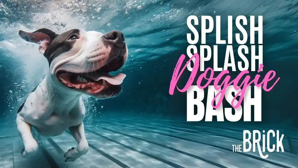 Splish Splash Doggie Bash