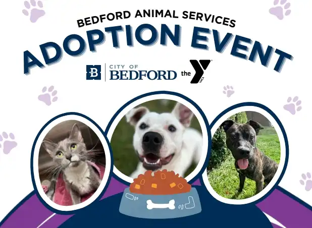Bedford Animal Services- Adoption Event!