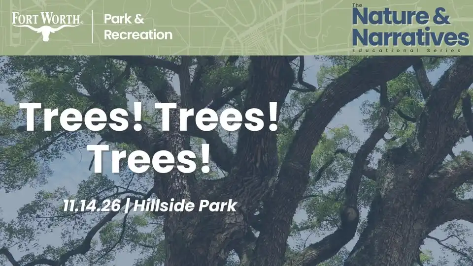 Nature & Narratives: Trees! Trees! Trees!