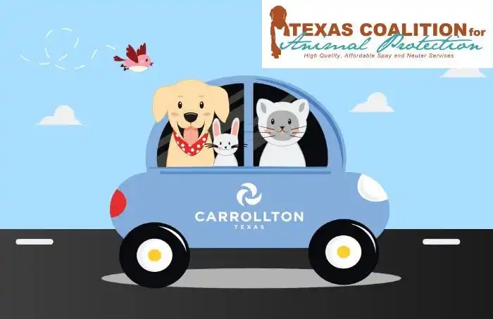 Low Cost Vaccination Clinic