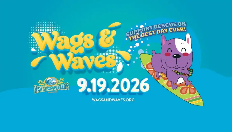 Wags and Waves 2026