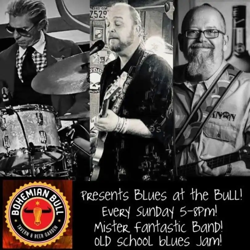 Live Music - Blues at The Bull