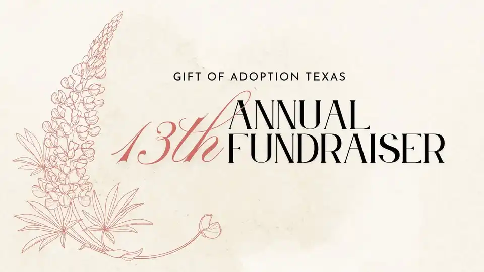 13th Annual Fundraiser