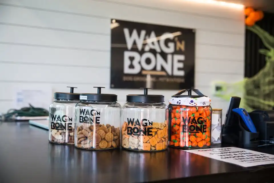 Howl-O-Ween at Wag'N Bone