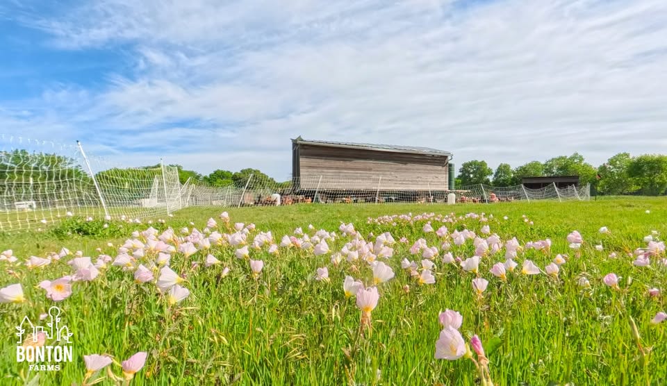 VOLUNTEERS NEEDED: WEEKDAY WORK AT THE EXTENSION FARM | BONTON FARMS