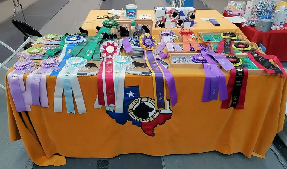 Lone Star Schipperke Club Specialty Shows ✨🎉 FOUR SHOWS • TWO DAYS • ONE HISTORIC WEEKEND!