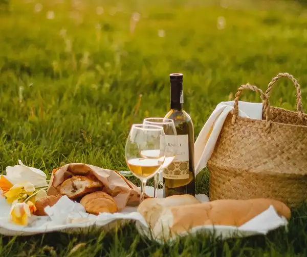 Blanket & A Basket: The Best Outdoor Concerts and Movie Nights in DFW This Summer (2026)